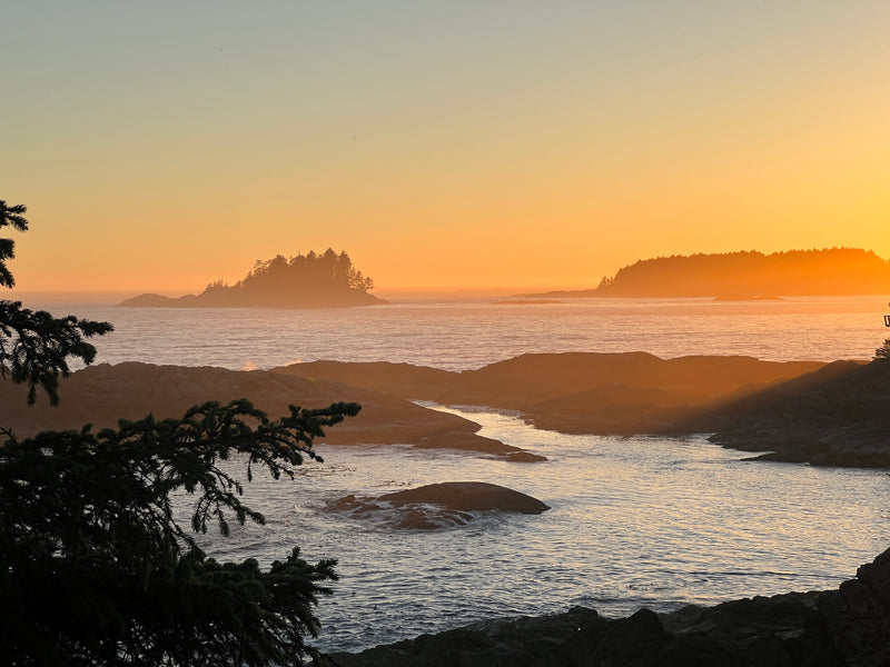 Warum Du diesen Sommer nach Vancouver Island reisen solltest