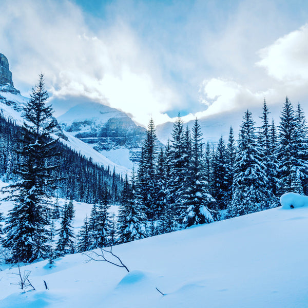 Weihnachten mit outdooroutside: Nachhaltige Freude und Abenteuer